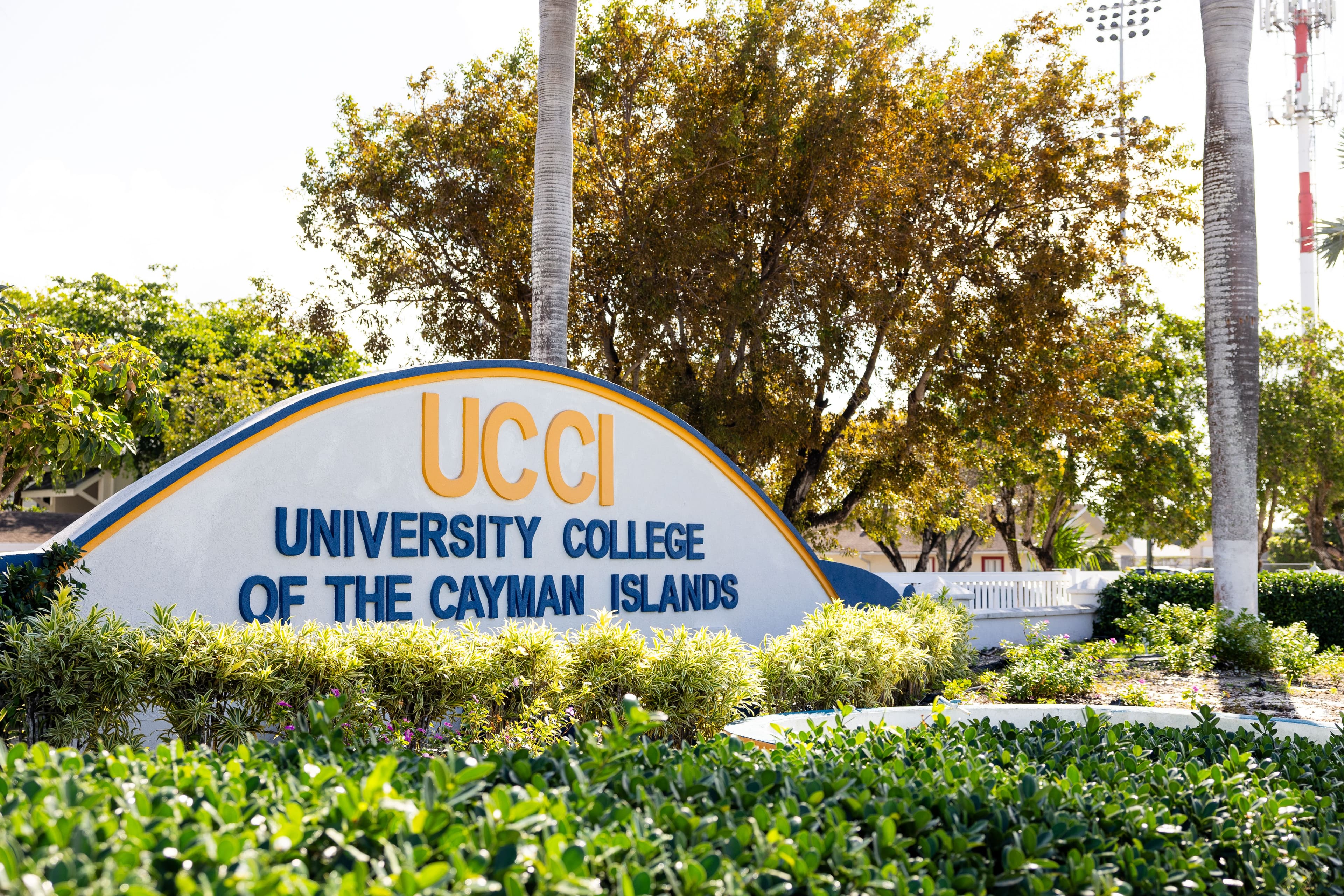 Degree Plan (Suggested Sequence)