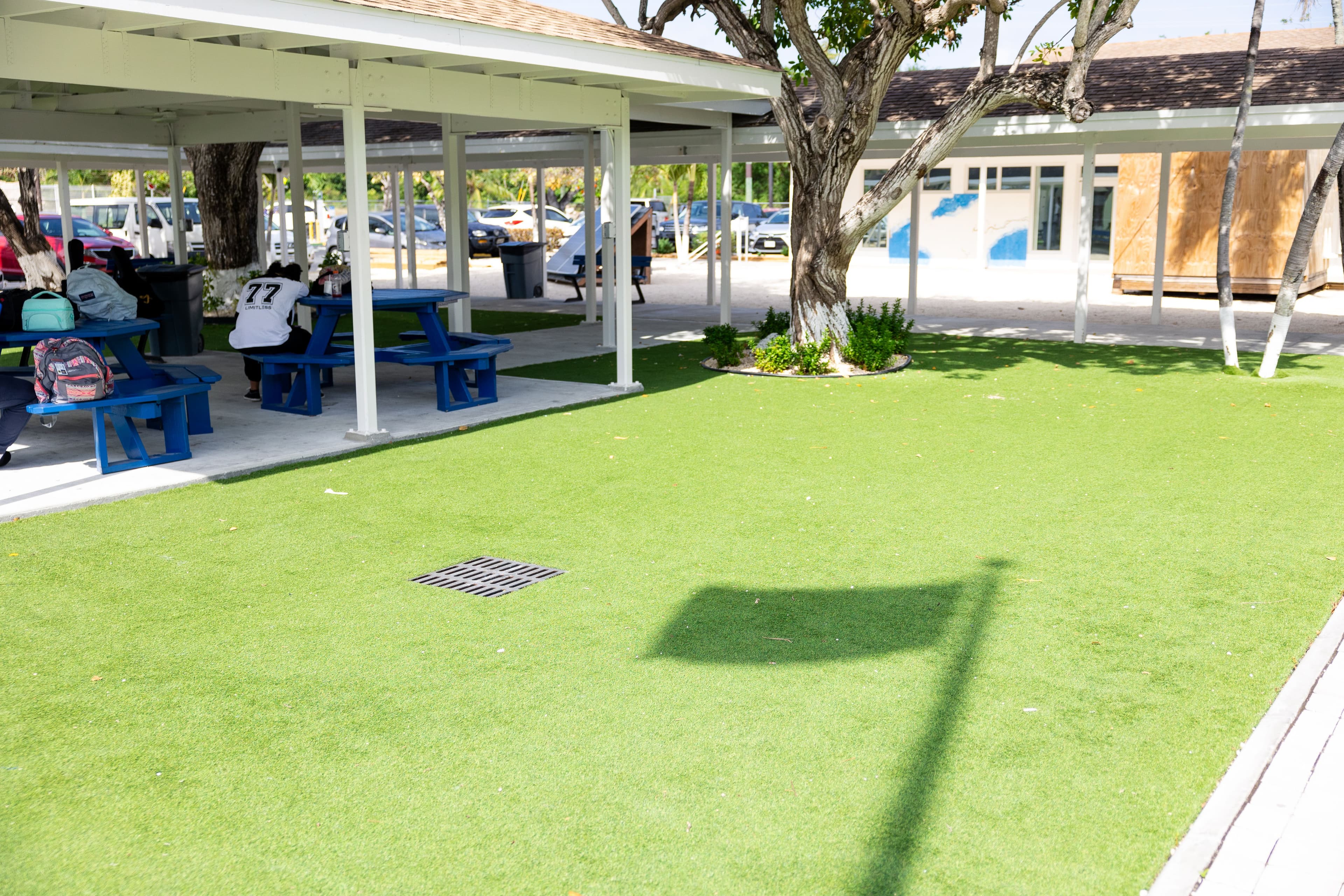 Degree Plan (Suggested Sequence)