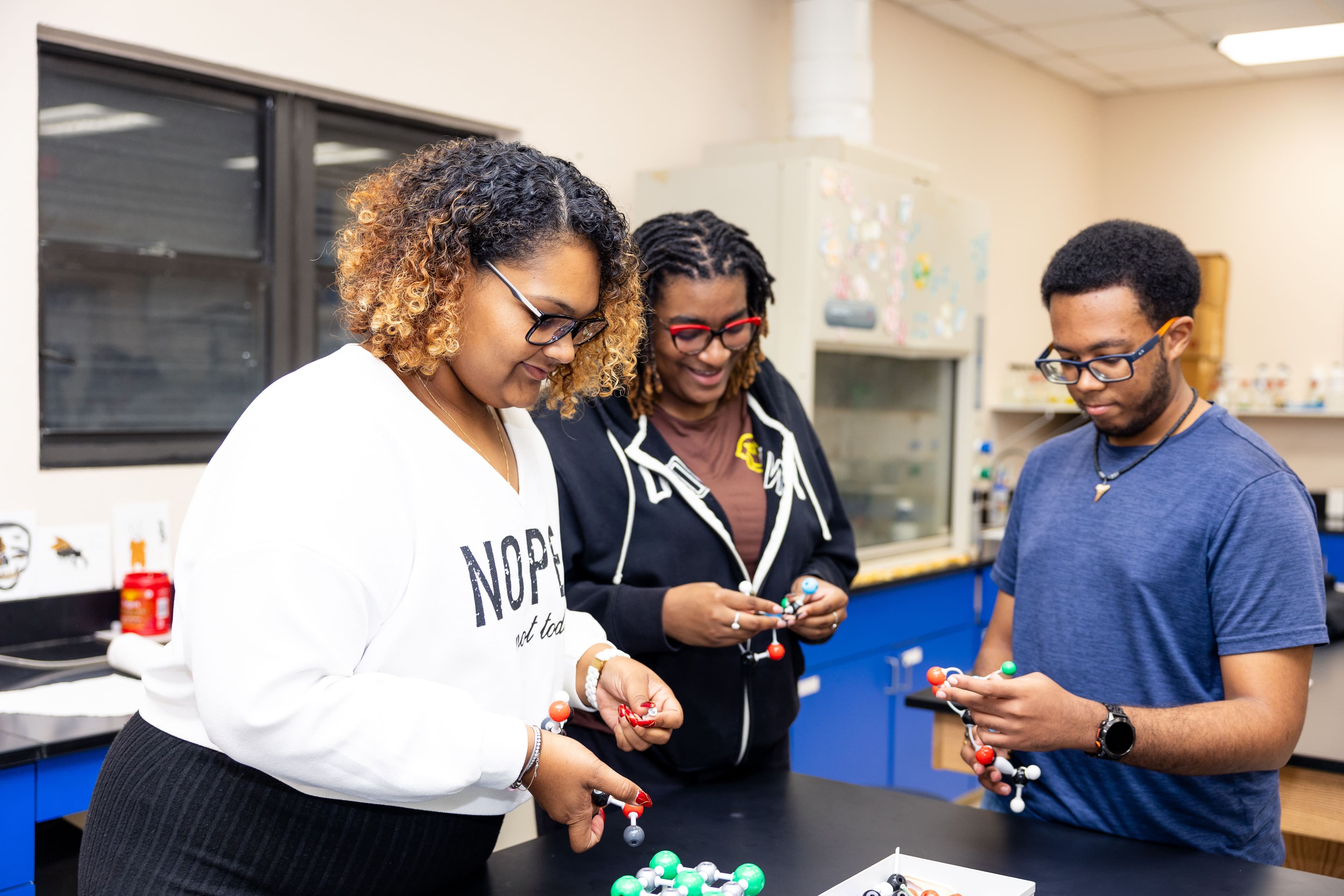 Degree Plan (Suggested Sequence)